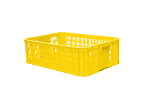 Open plastic container 1T9